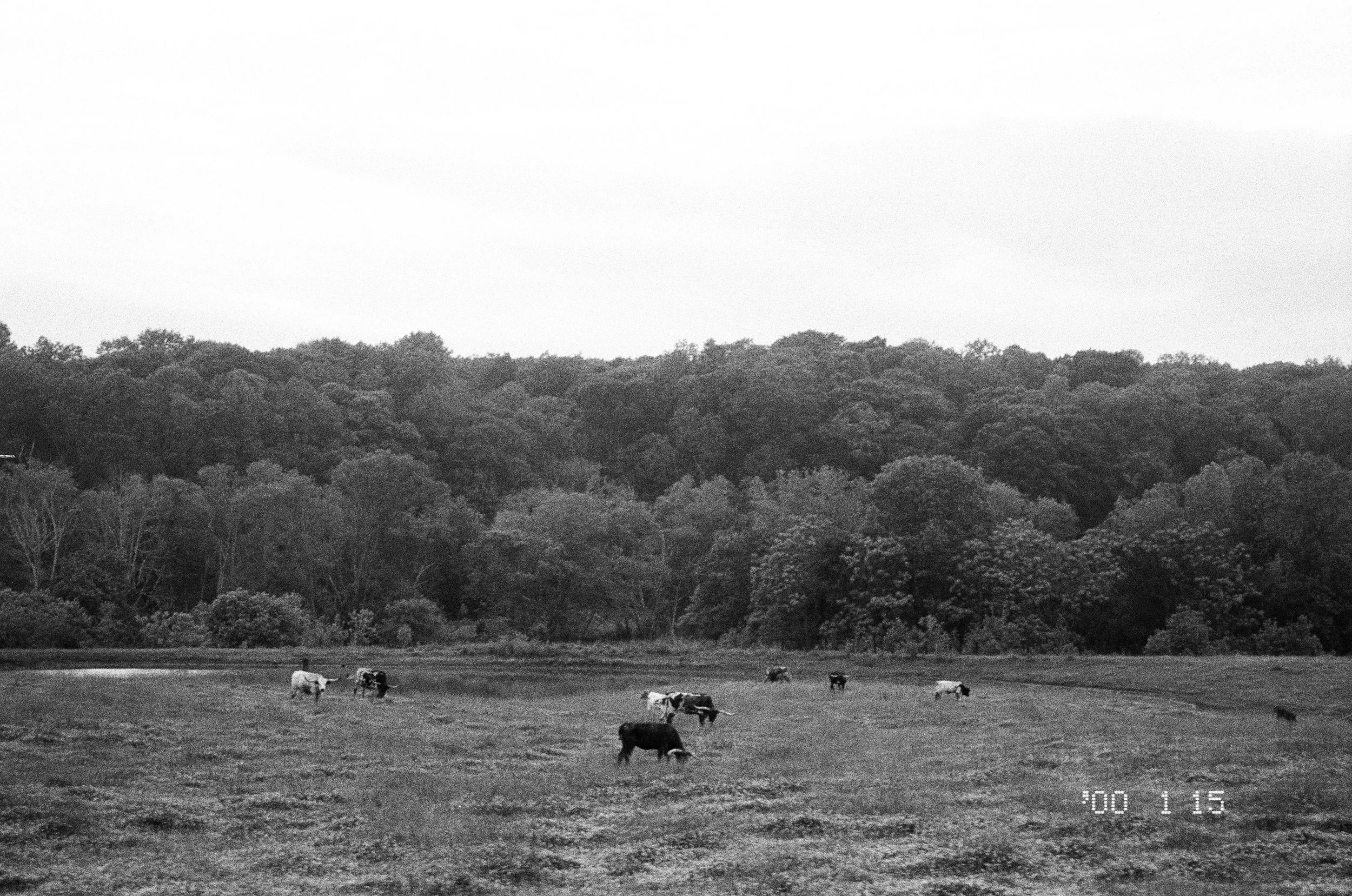 Broadwell_SouthFeild _Photography.jpg.jpg