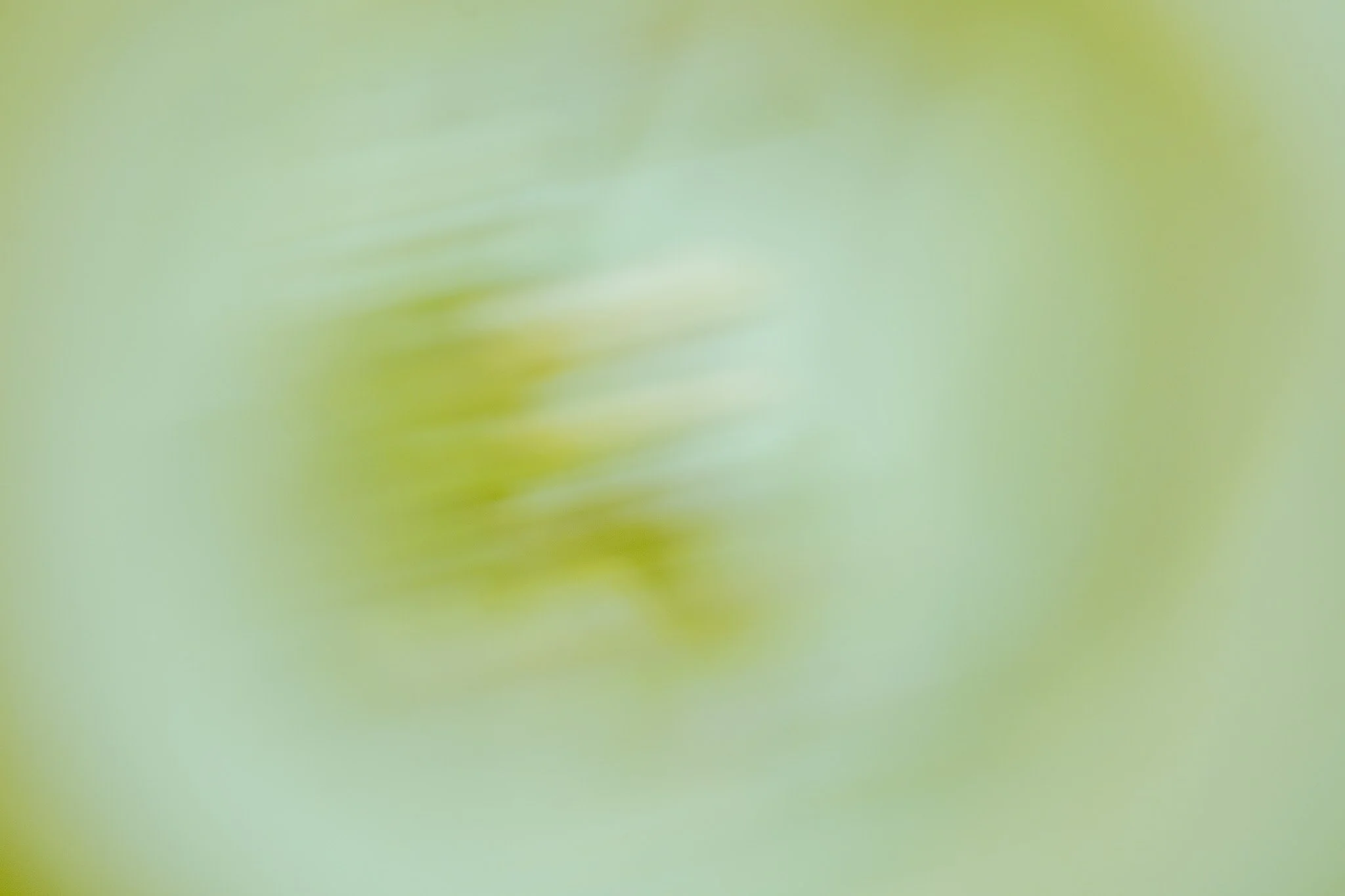 DSC09456.jpg