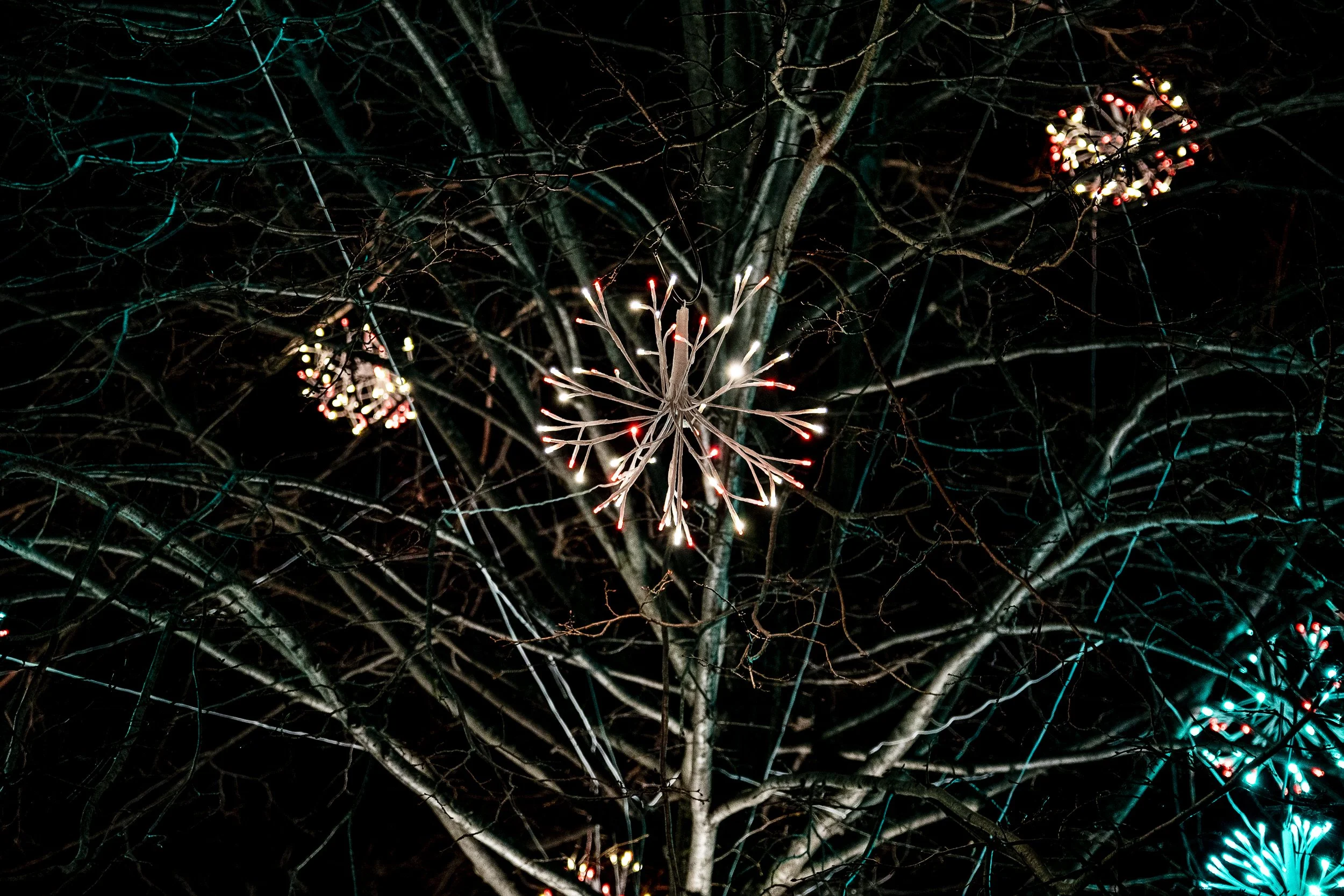Decorative tree branches at night illuminated with colorful Christmas lights.