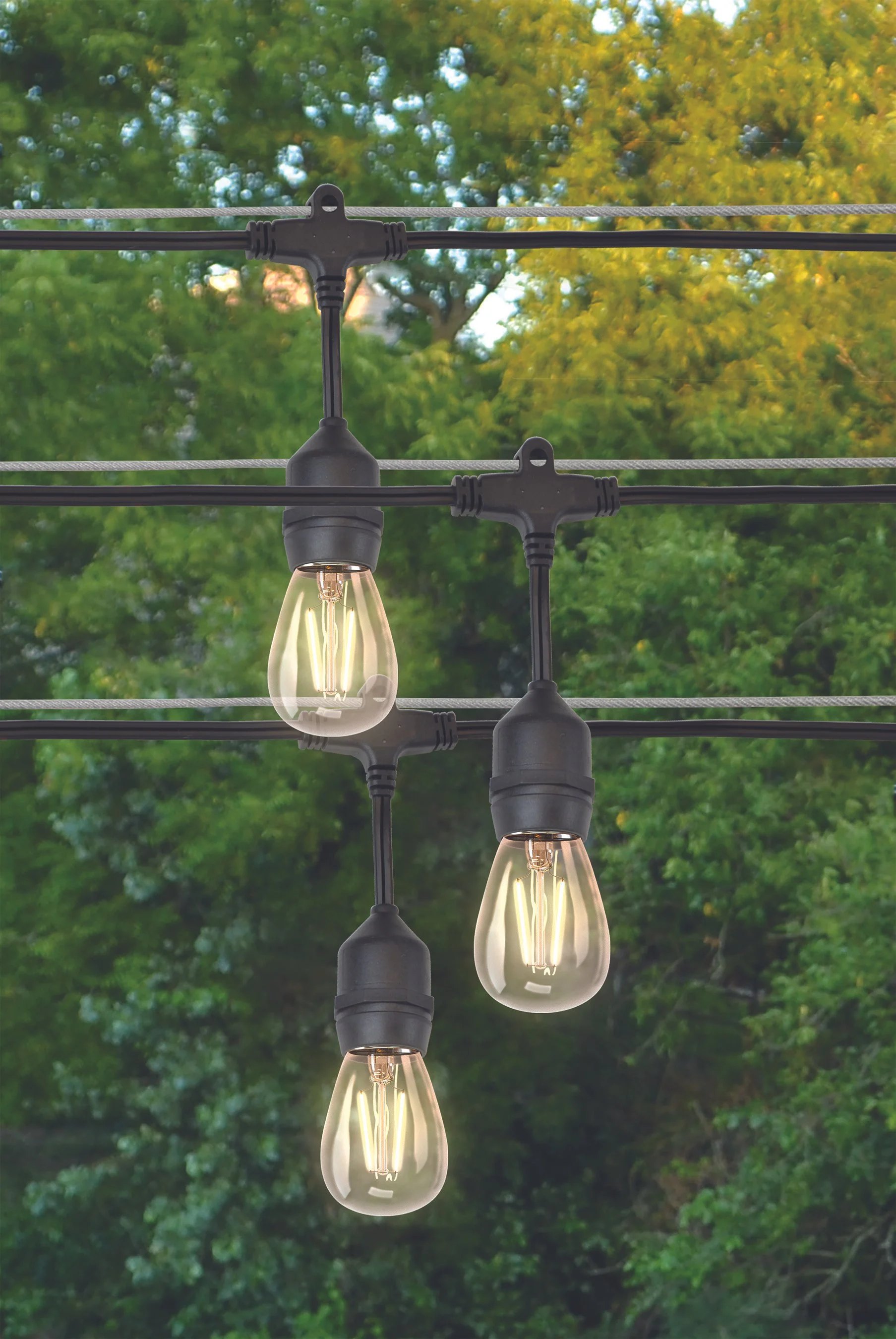 String of outdoor Edison-style light bulbs hanging against a backdrop of green and yellow trees.