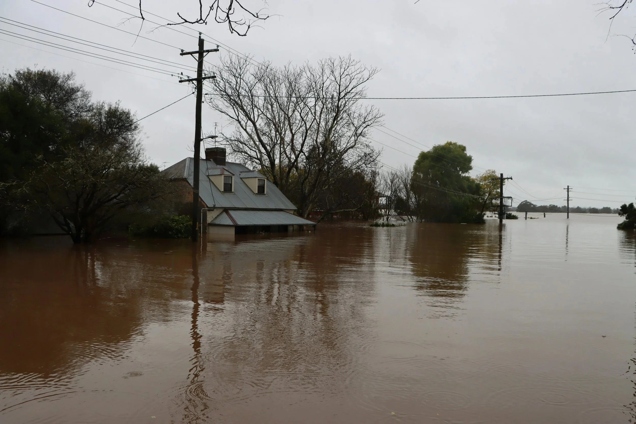 Flooded area with water covering the land, partially submerging a house, trees, and utility poles under gray, overcast sky.