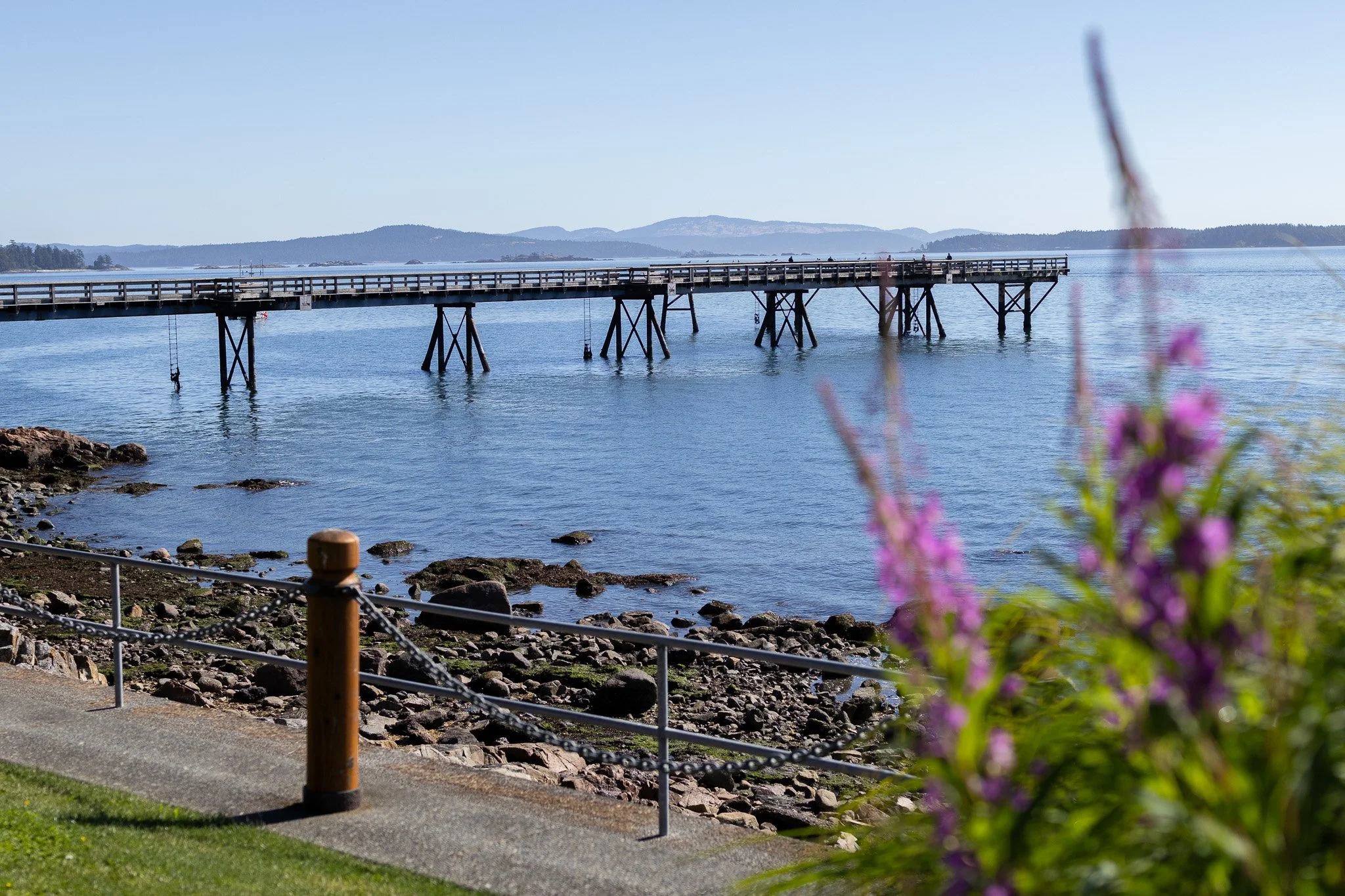 Protecting Waterfront Land from Erosion