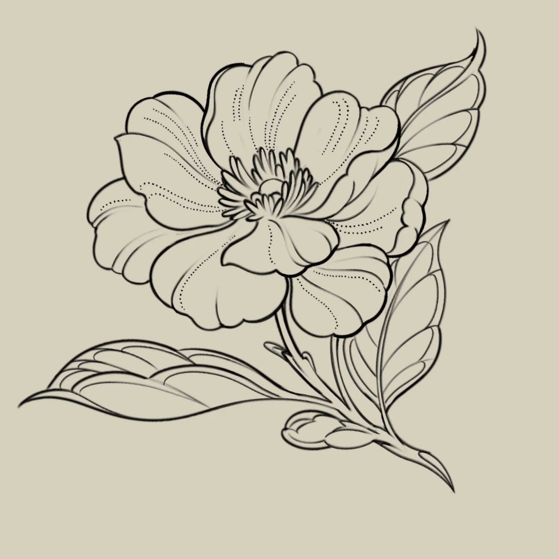 Wild Flower 2
4 x 4.5
300 - 400