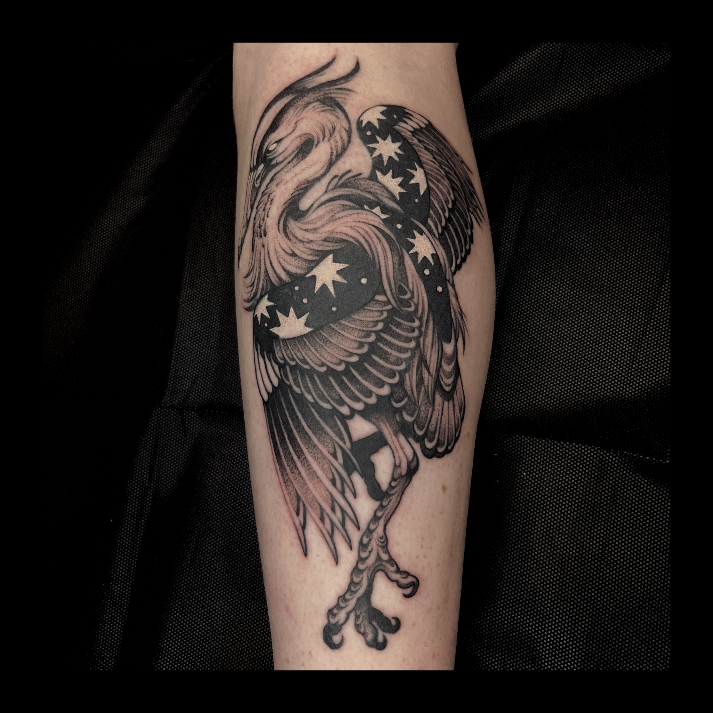 Tattoo of a swan with flowing feathers and stars on its wings on a person's arm.