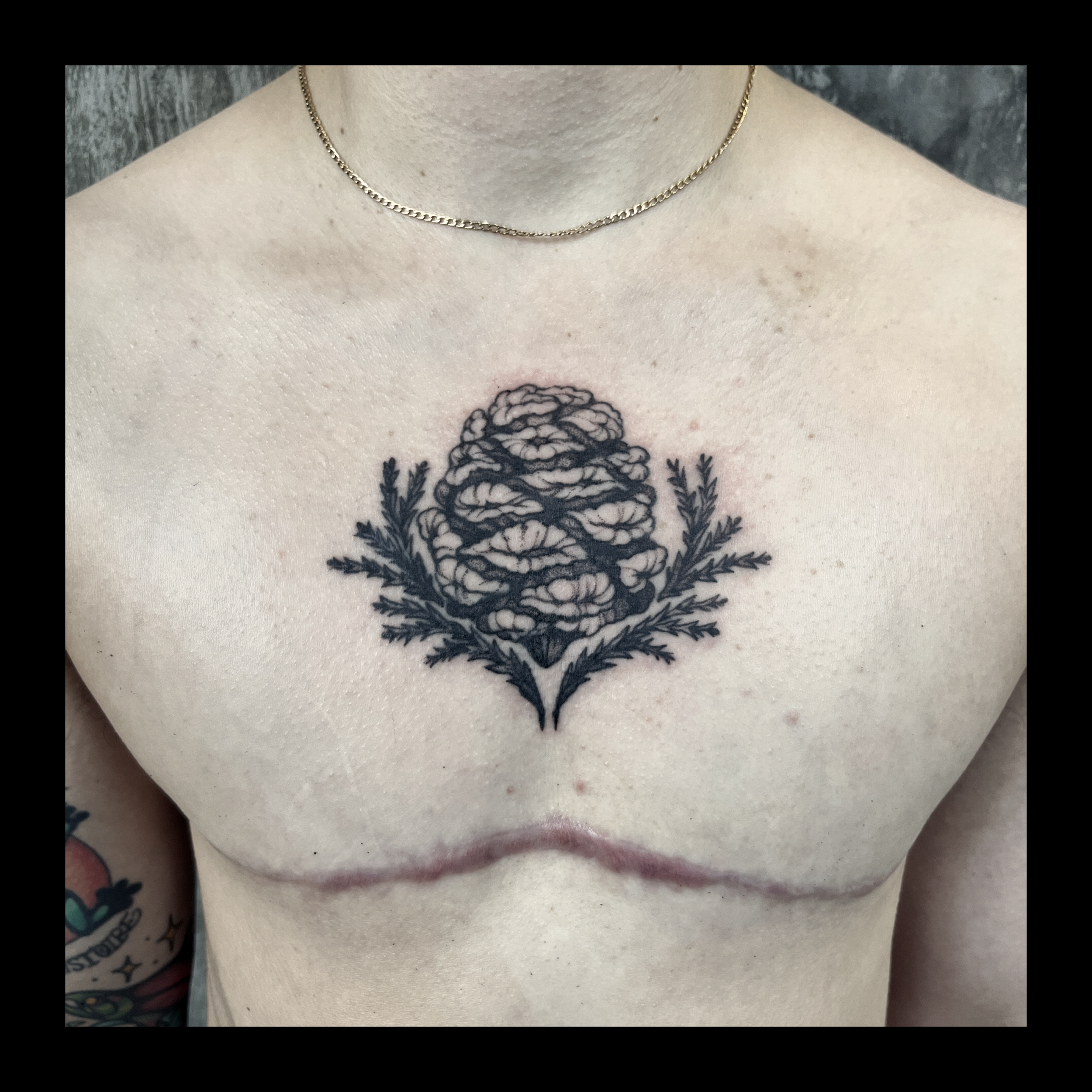 Close-up of a person's upper chest and neck, wearing a gold chain necklace, with a tattoo of a pinecone and leaves just below the collarbone.