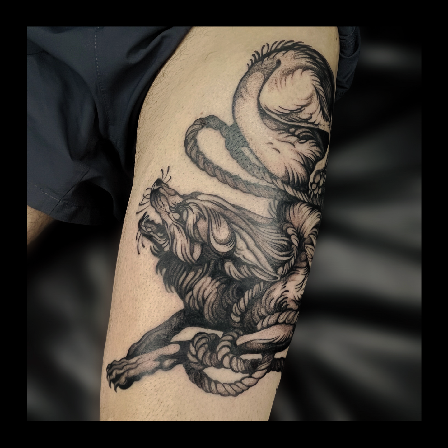 Tattoo of a lion and a dragon intertwined, with the lion's face showing an open mouth and sharp teeth, and the dragon's head curled around the lion.