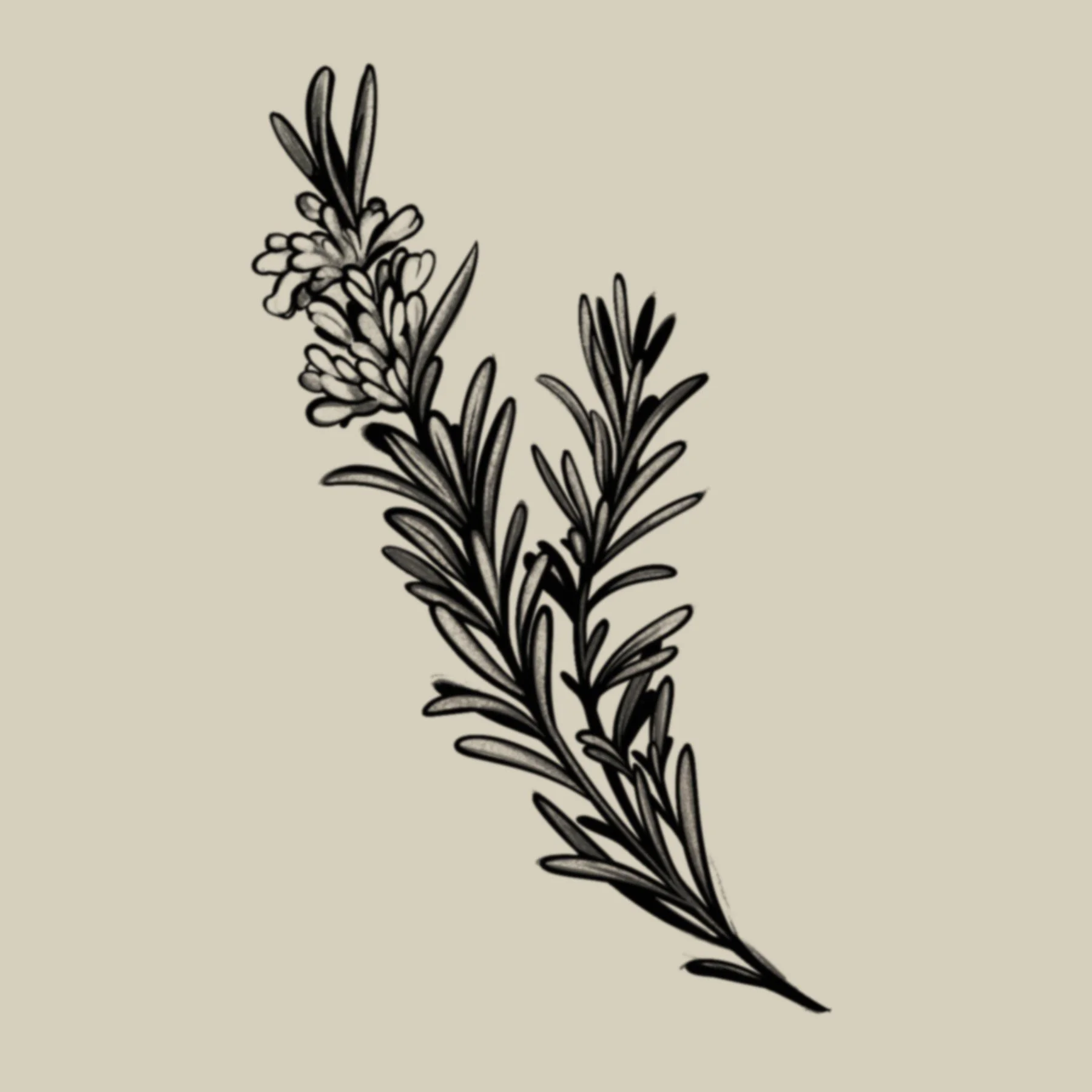 Rosemary
5 x 1.5"
$200 - $250