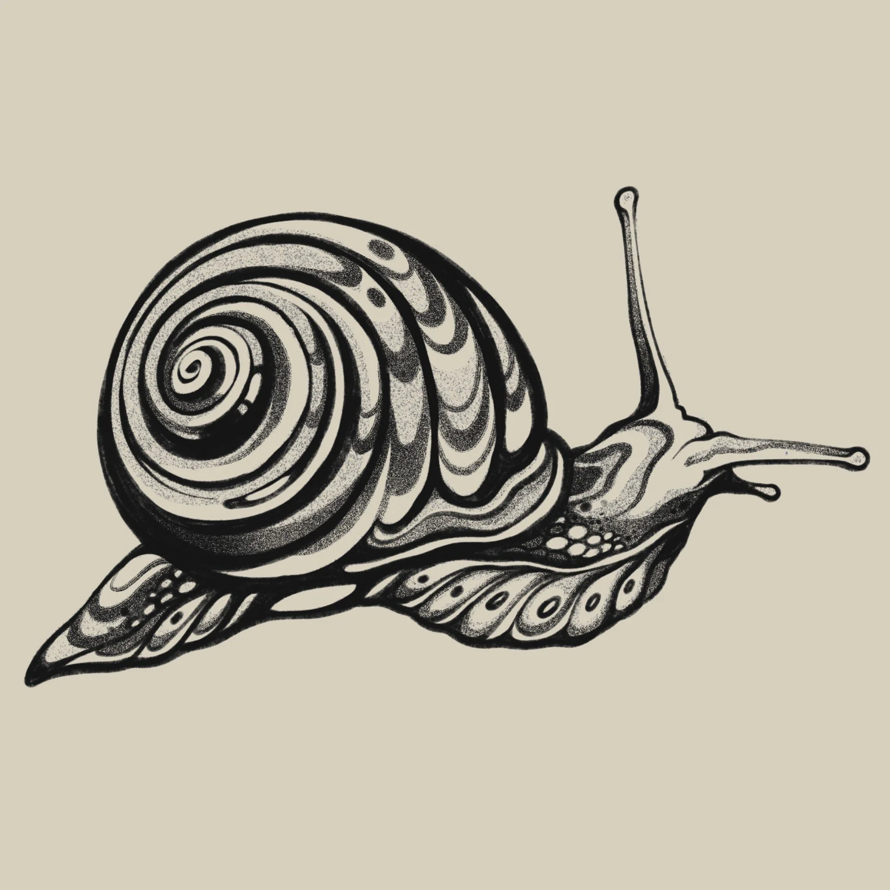 Snail
4.5 x 3"
350 - 400