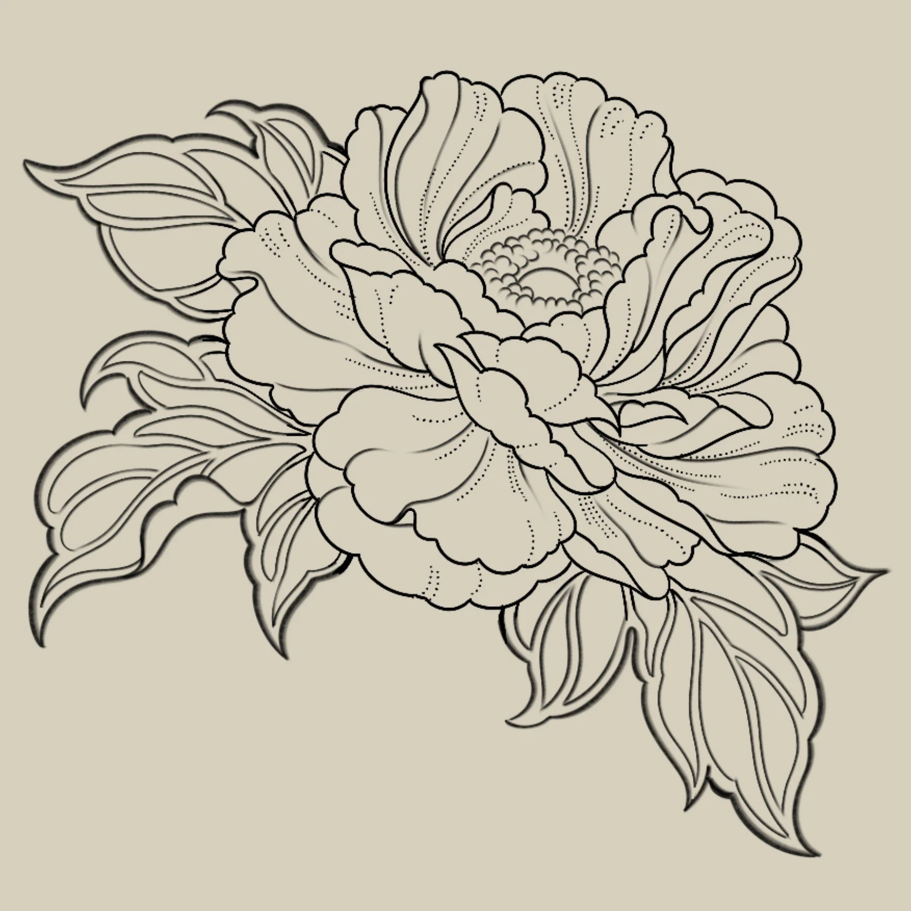 Peony
5.5 x 4
350 - 450