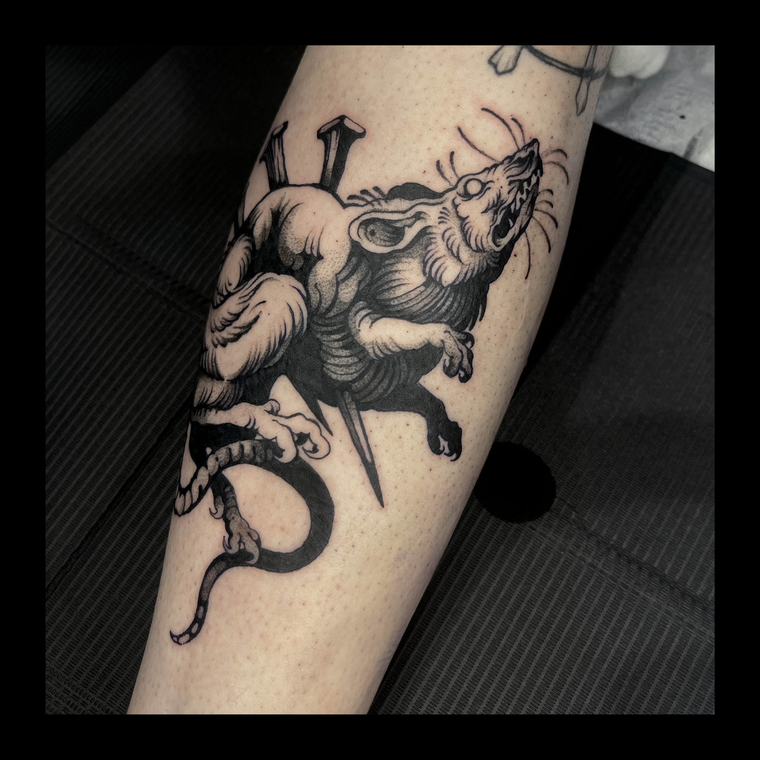 Black and gray tattoo of a fierce-looking tiger with a snake wrapped around its body, on a person's skin.