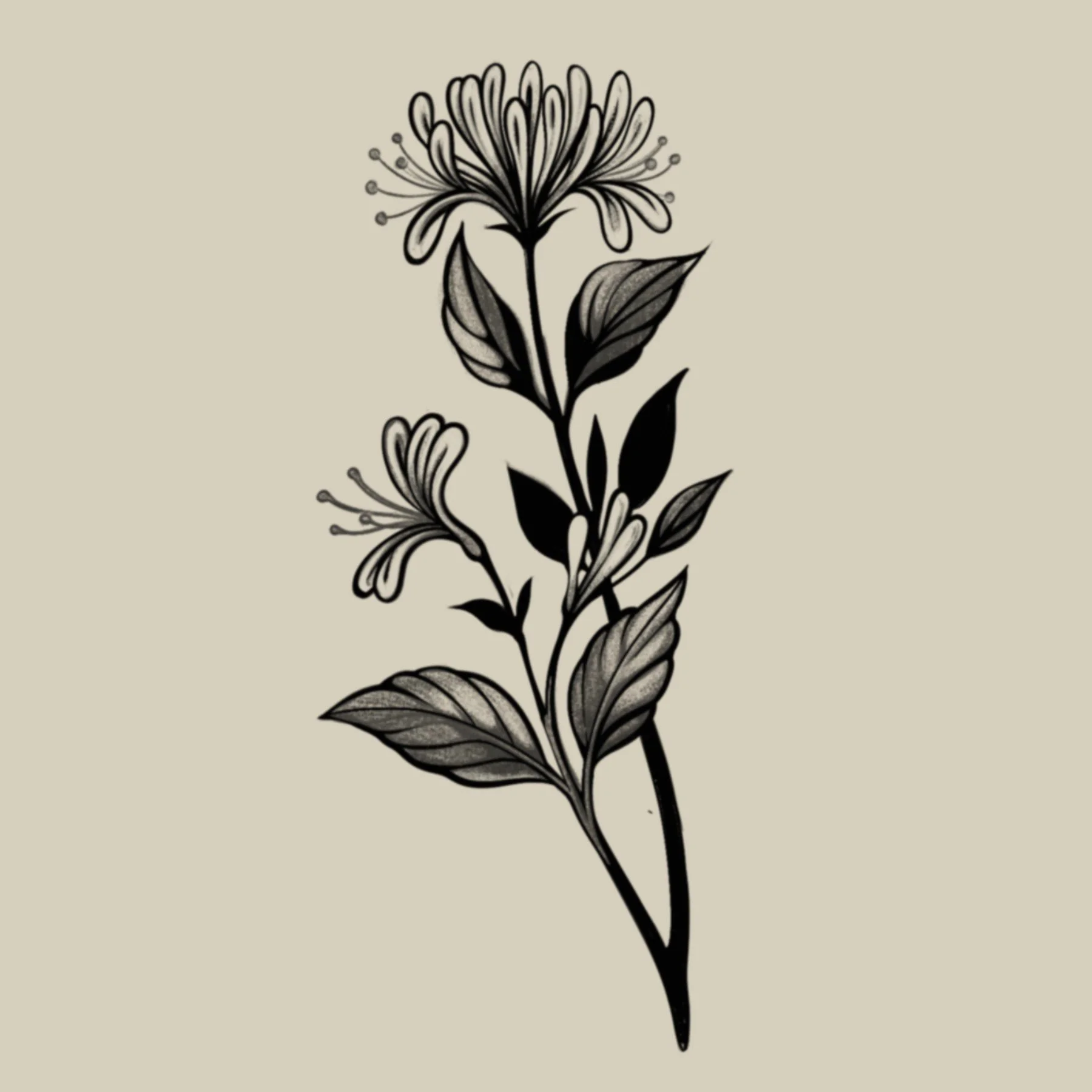 Honeysuckle
5 x 2"
200 - 300