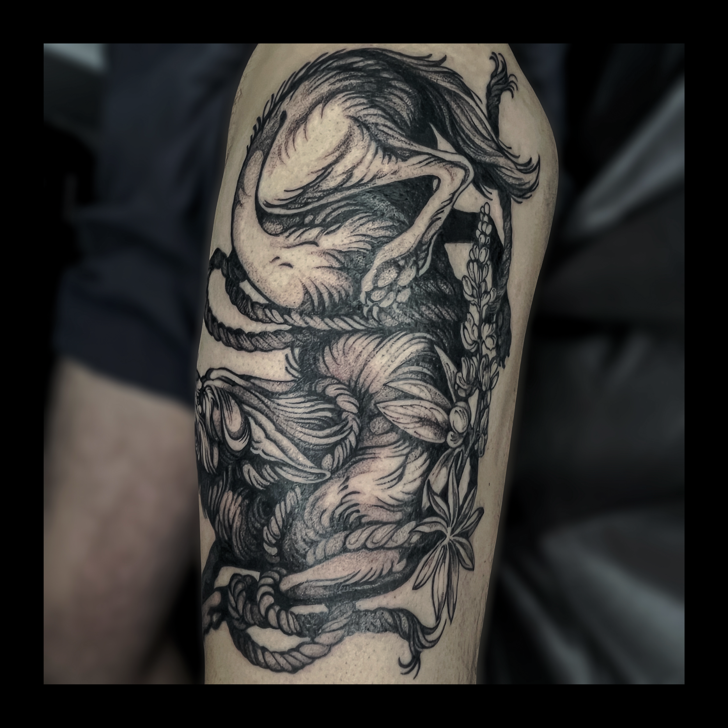 Black and gray tattoo of a dragon on a person's arm, featuring detailed scales, wings, and a fierce expression.