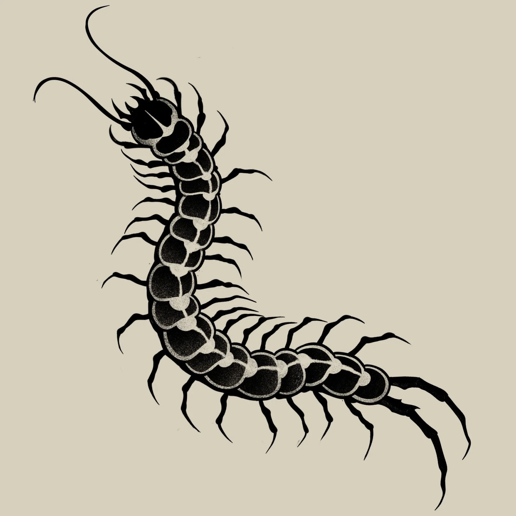Centipede
6 x 2.5"
300 - 350
