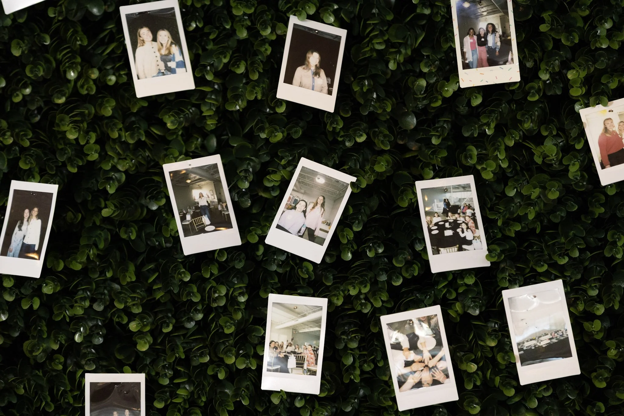 A wall decorated with green leaves and hanging Polaroid photos of people at various events.