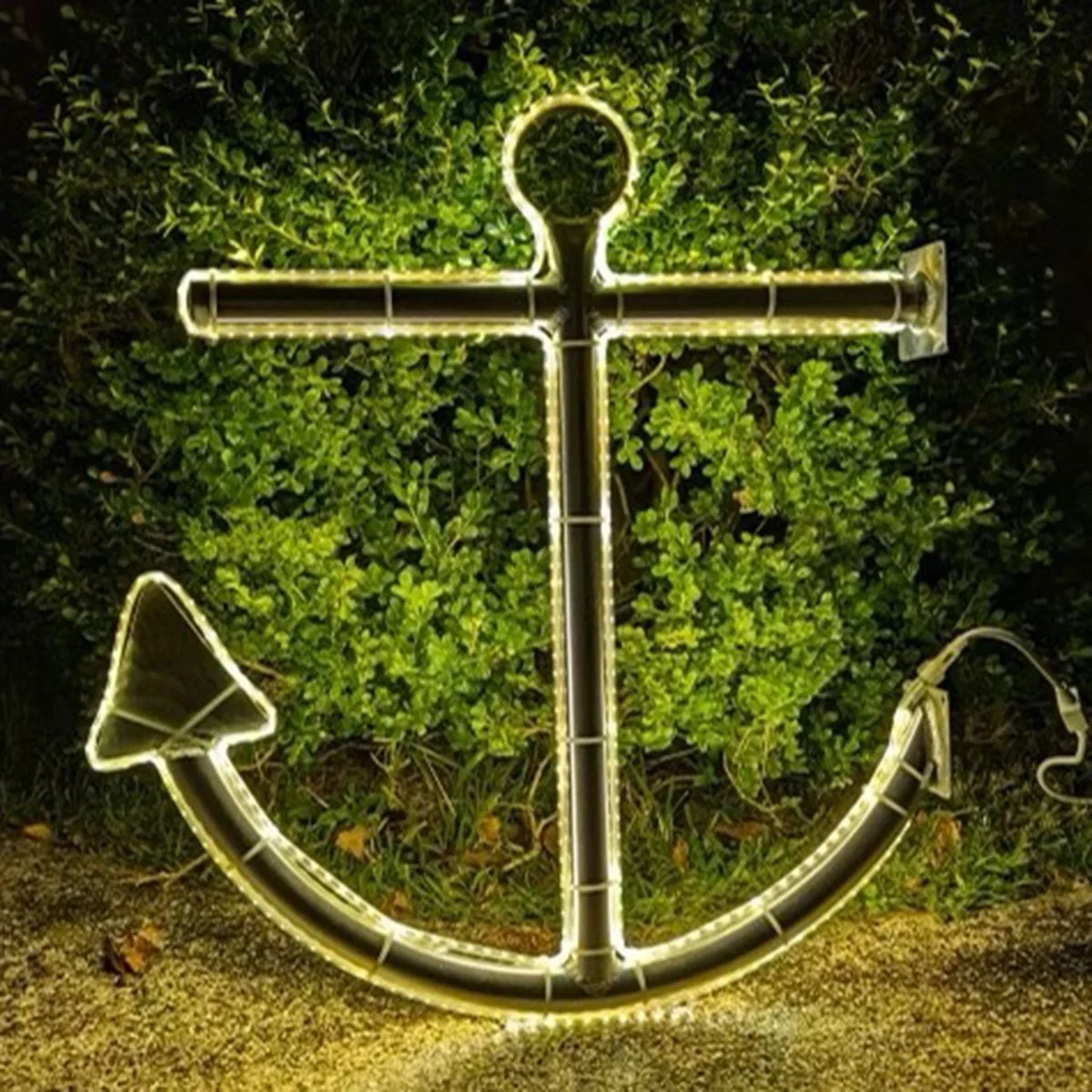 Anchored in the Storm
