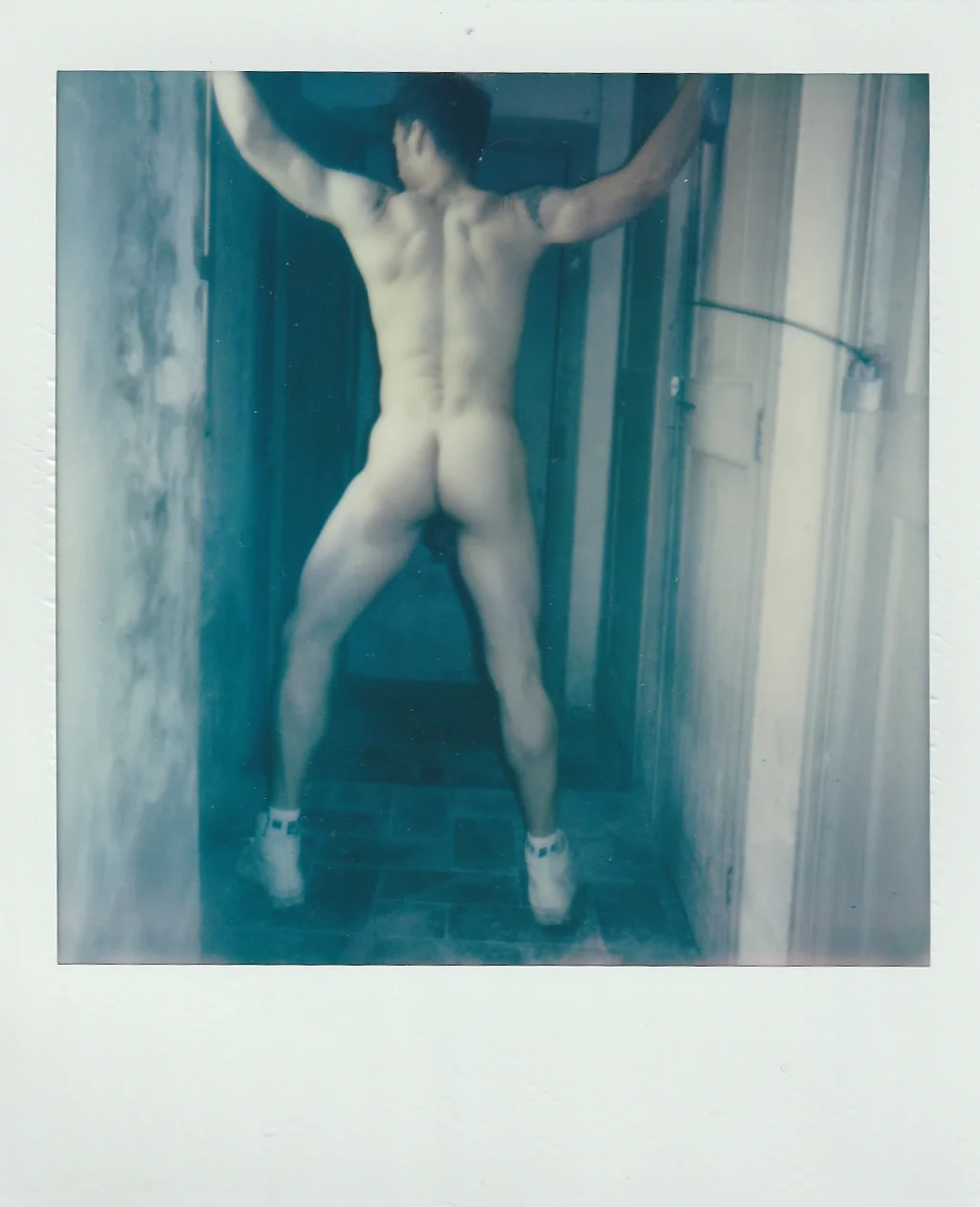 POLA 4