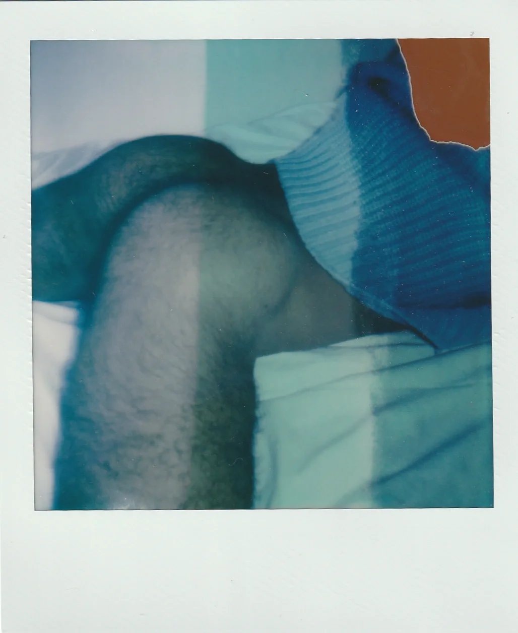 POLA 3