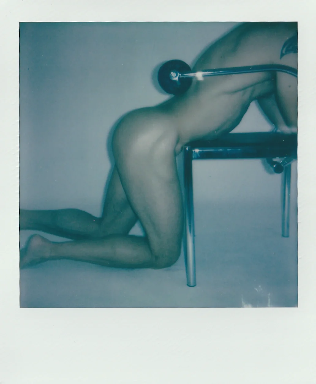 POLA 33