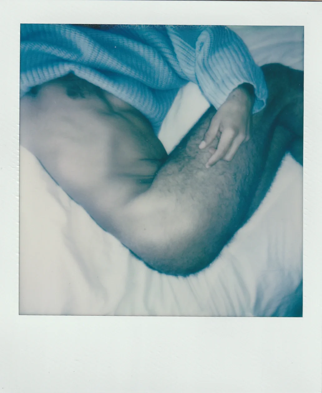 POLA 6