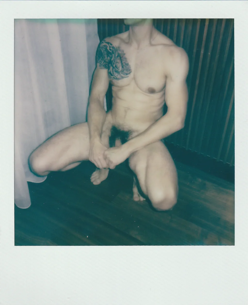 POLA 11
