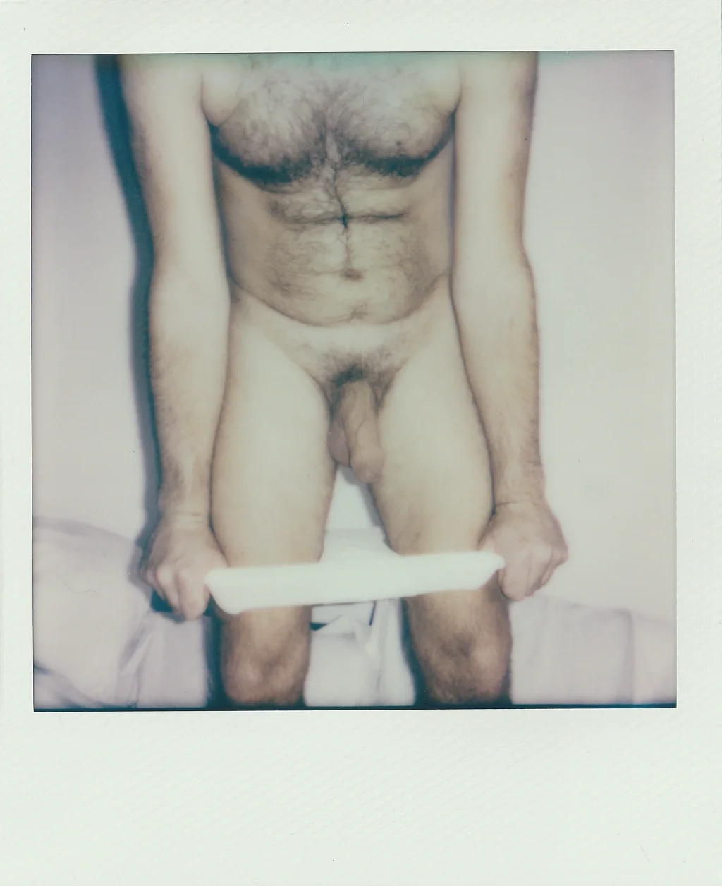 POLA 19