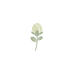 Medspa in Bellingham, WA, 98225 The Bud