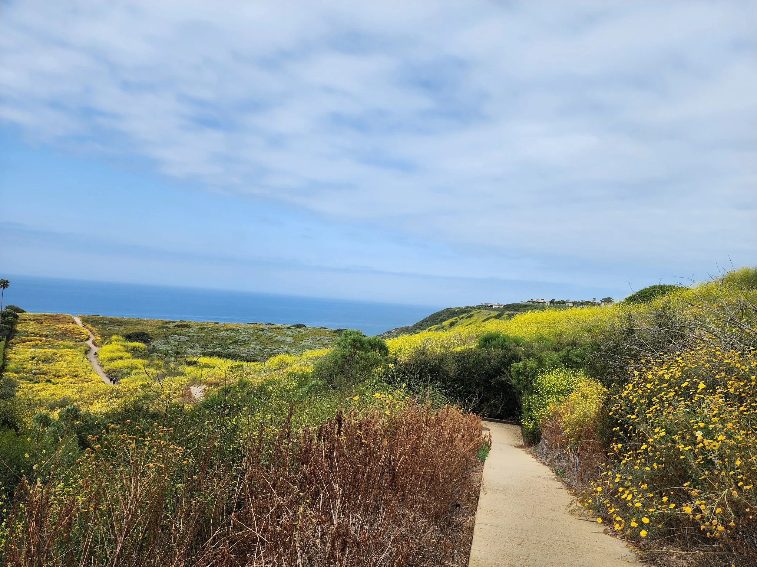 The Therapist as a Mother: My Journey Through the "Right Way"