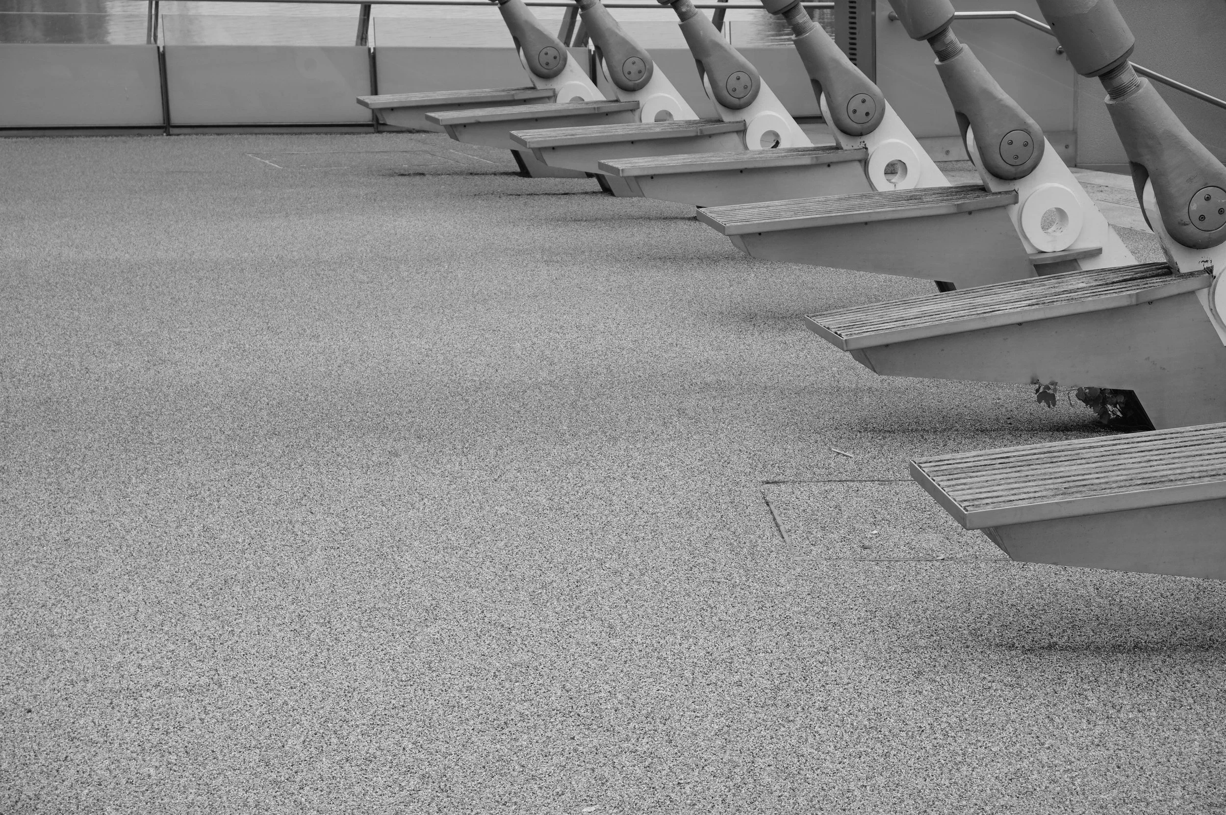 Freshly cleaned carpet at a fitness center9