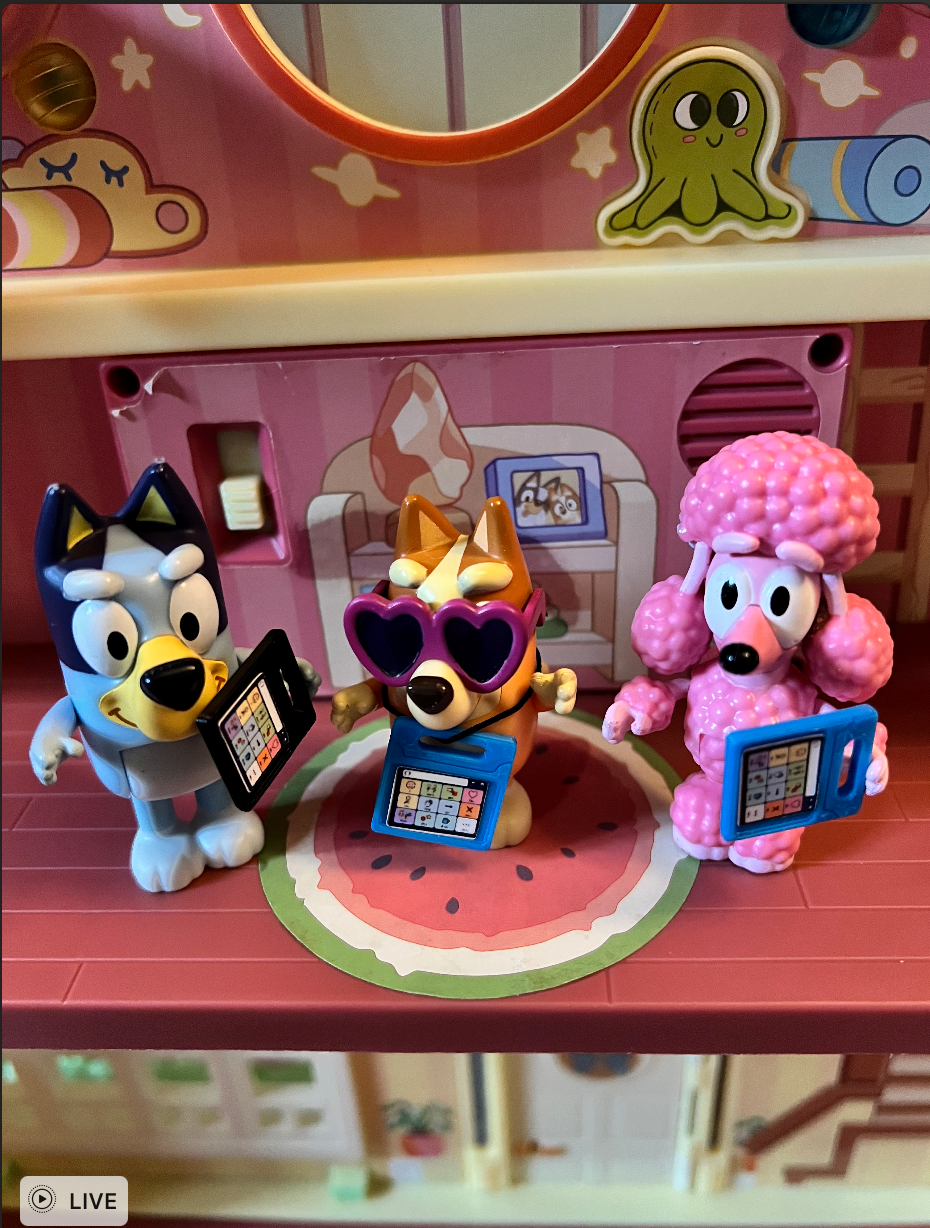 Bluey AAC Photo.png