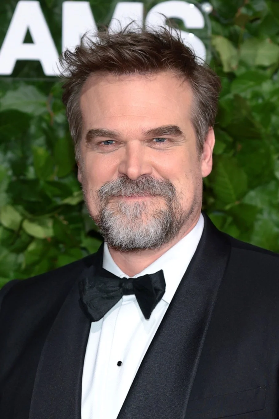 GettyImages-2279311003-crop.jpg