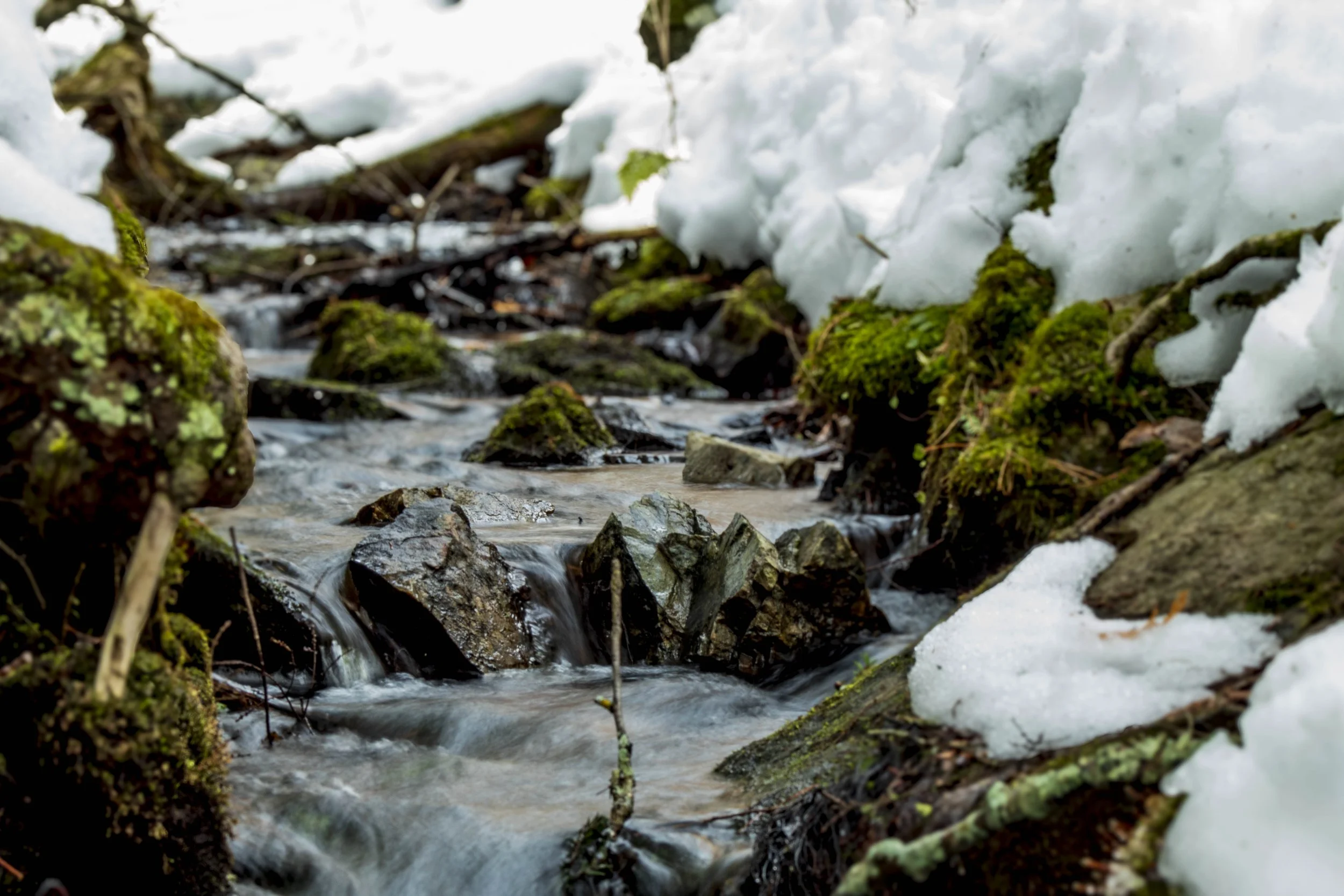 A small stream of water flowing over rocks in a forest, with patches of snow and moss on the ground.