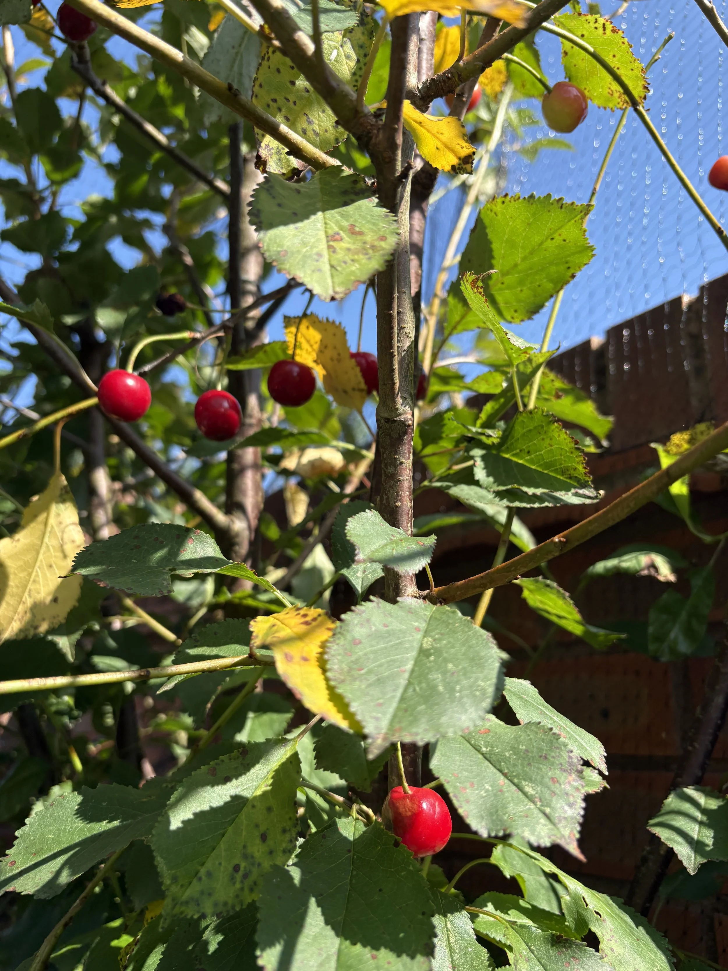 IMG_0499.jpeg