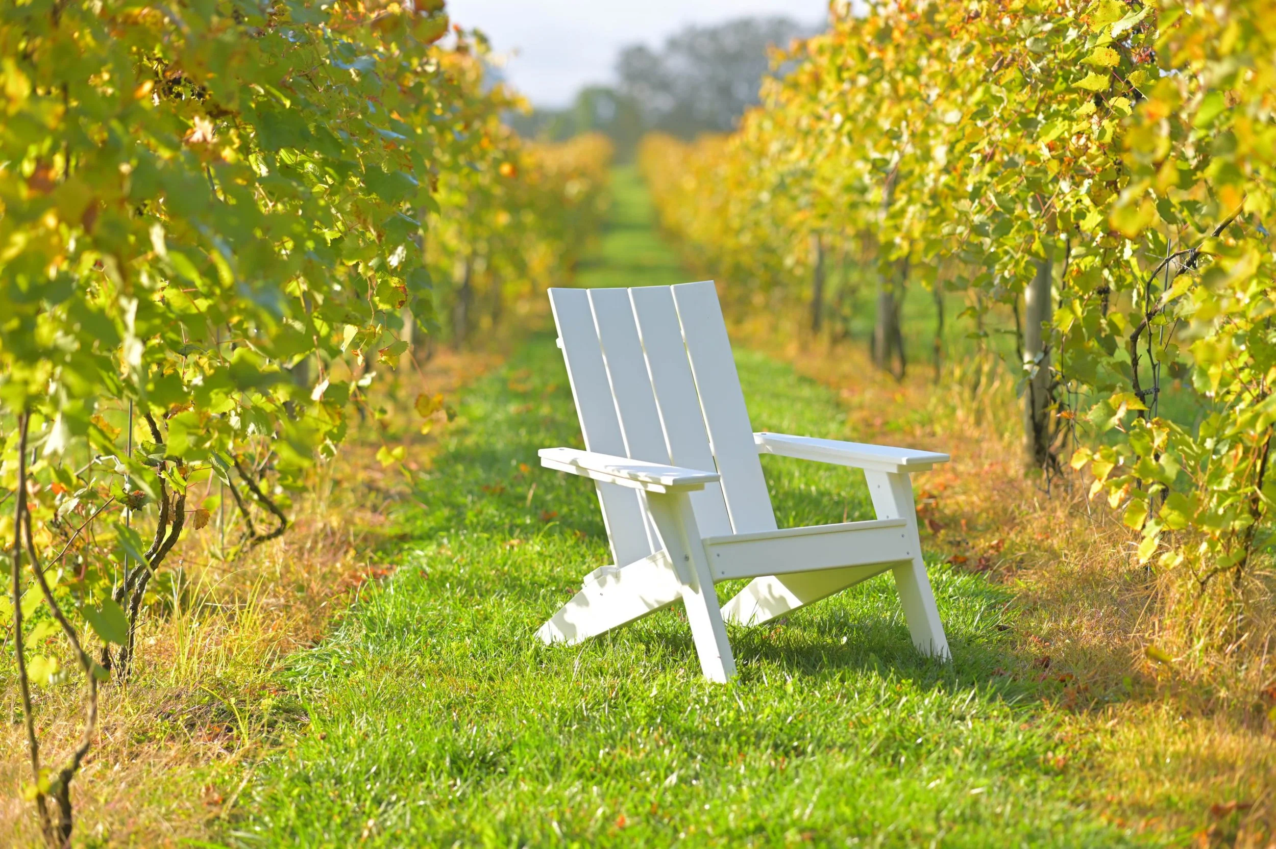 Urban Adirondack Chair (White).JPG