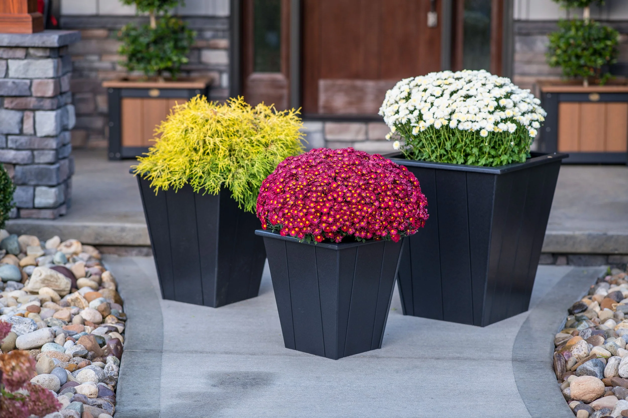 Elite Planters (Black).jpg