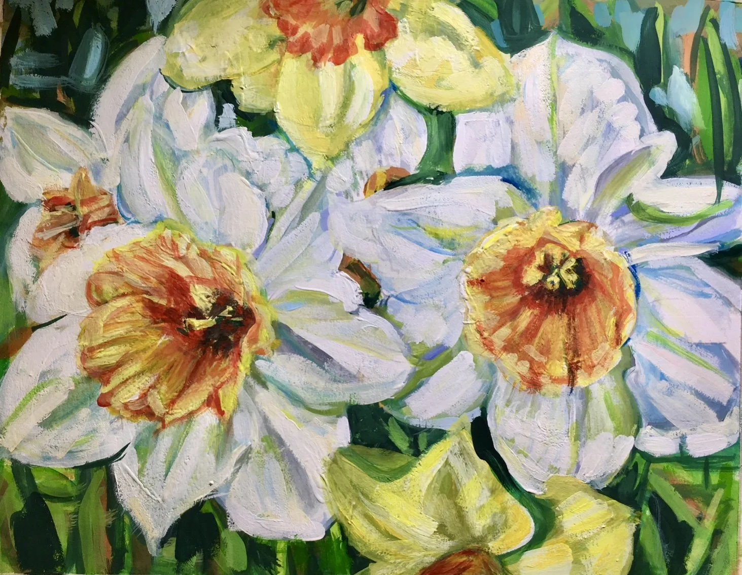 Daffodils