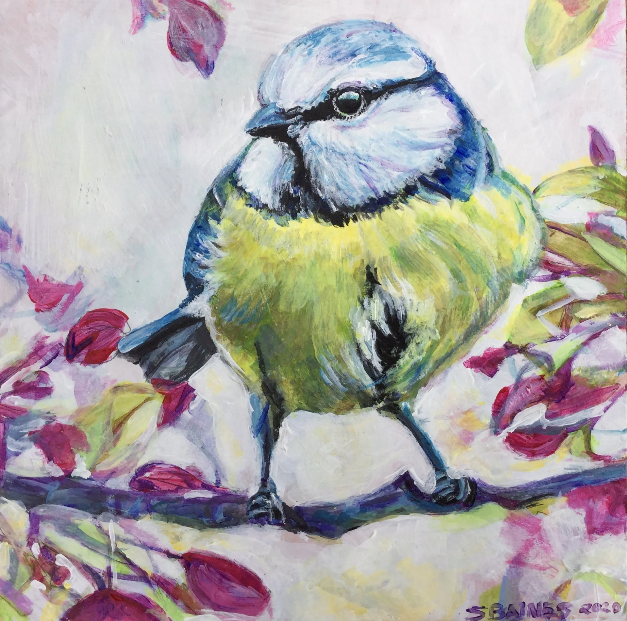 Blue Tit