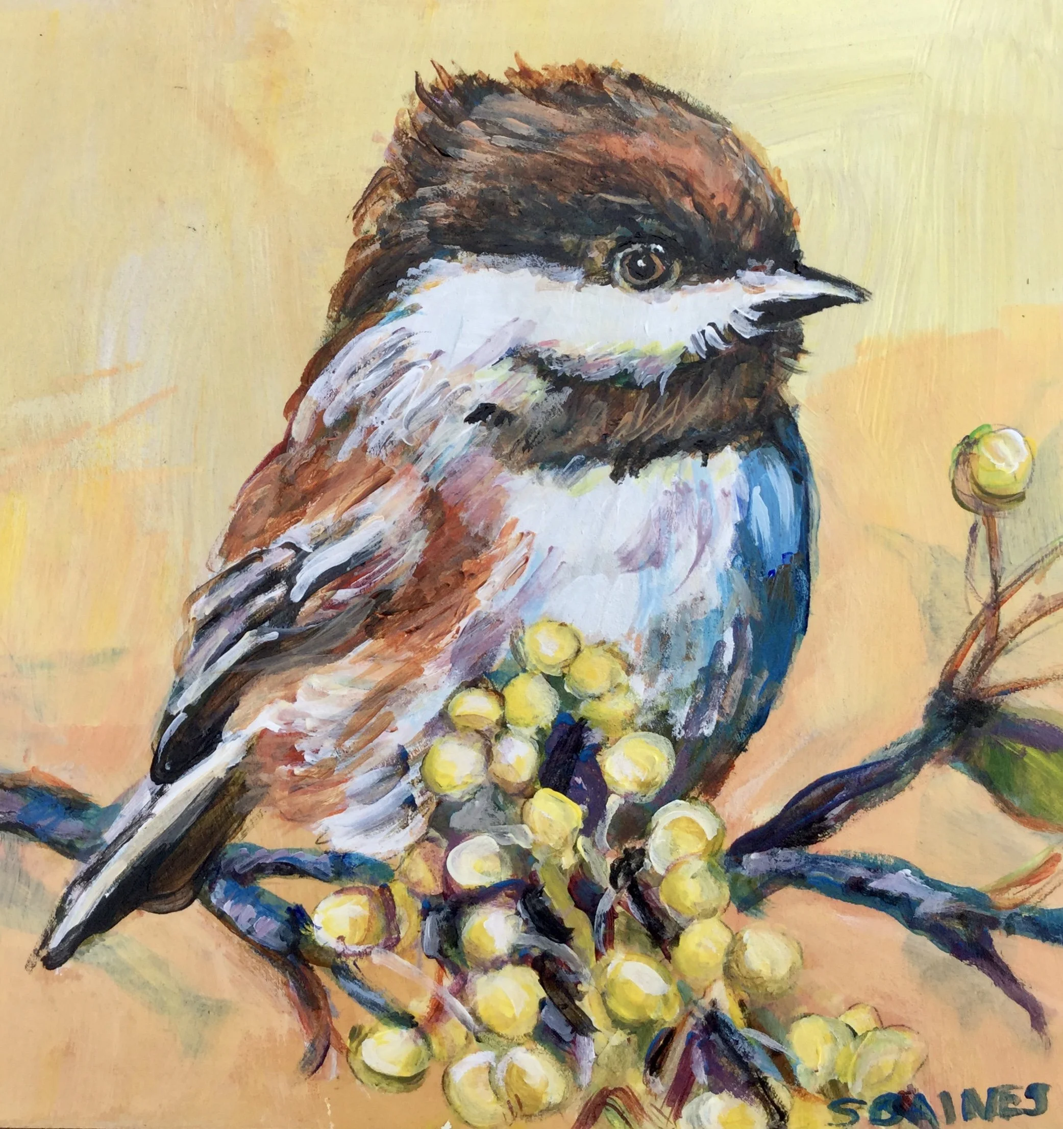 Chickadee