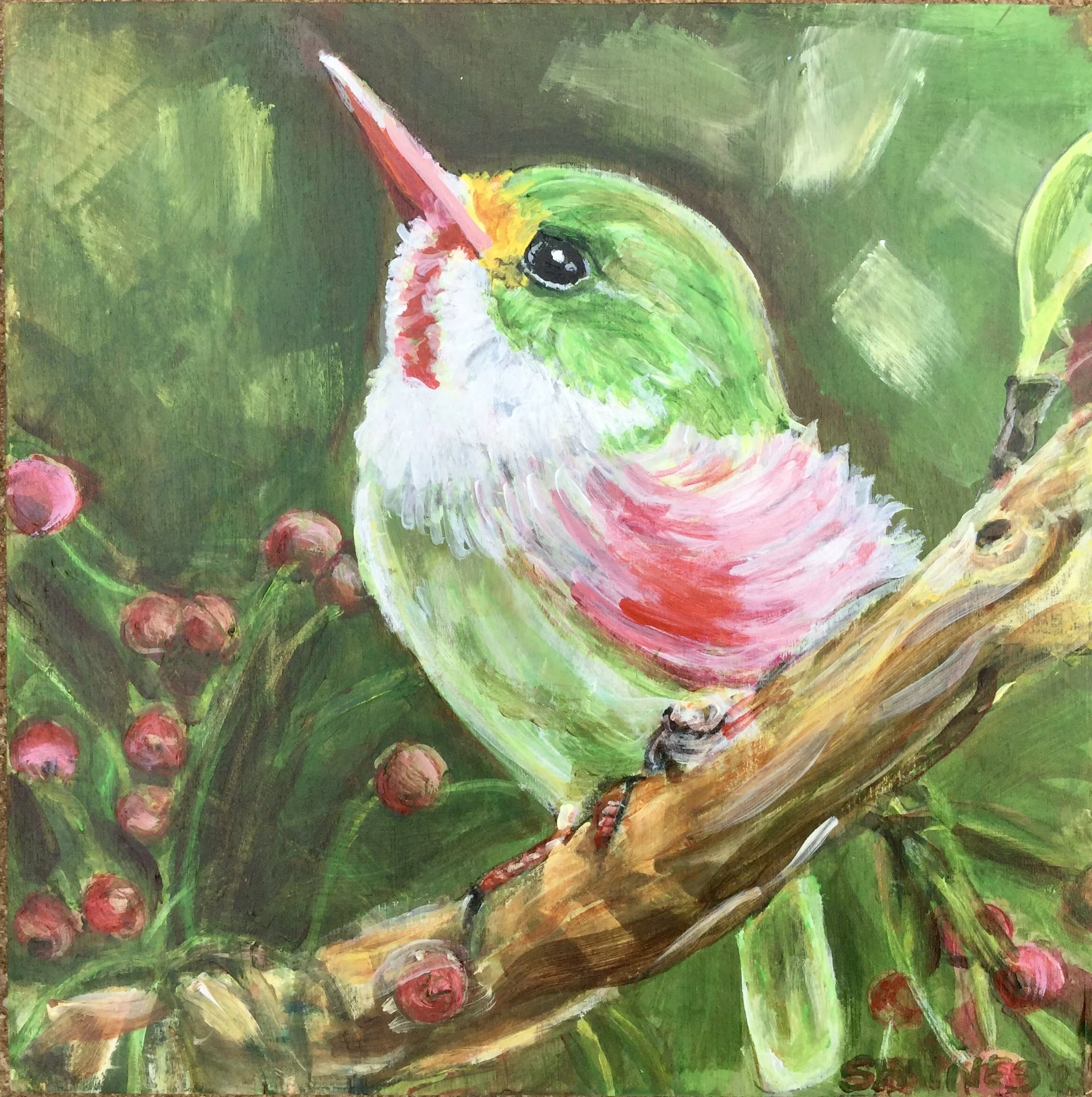 Hummingbird