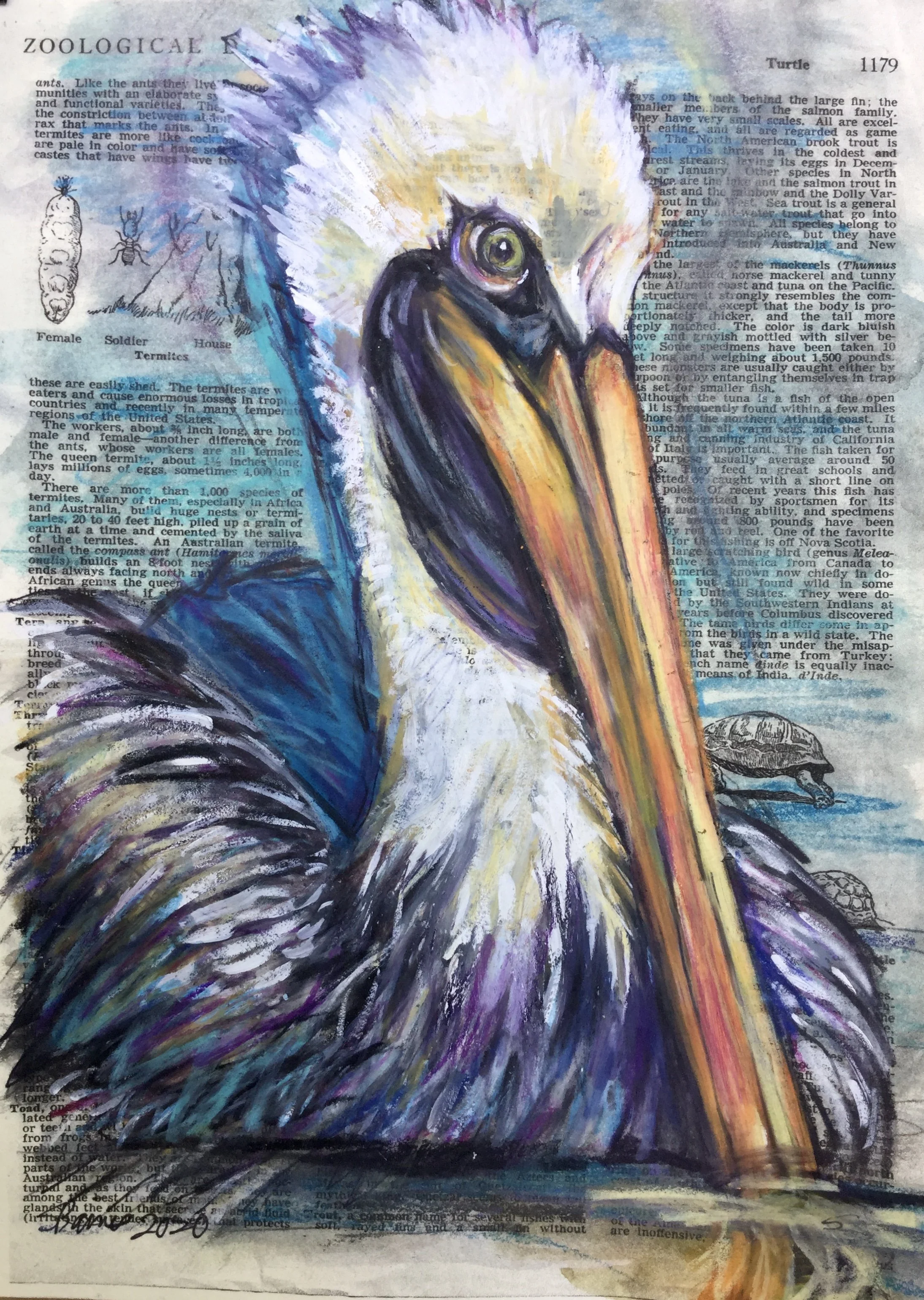 Pierre