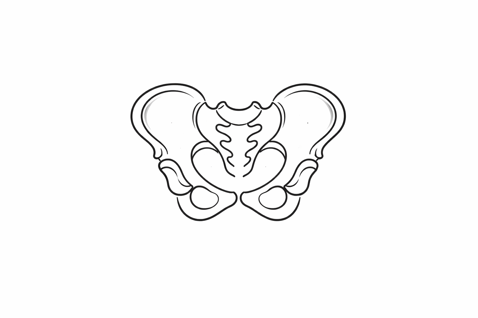 Pelvis illustration representing hip mobility and osteopathic treatment with Owen Murray Osteopath