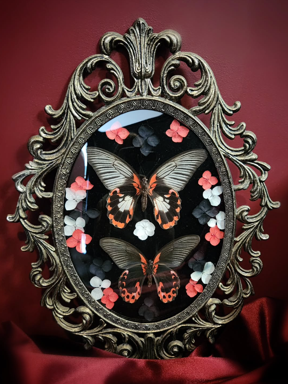 Une boîte à insectes en verre avec deux papillons et des fleurs artificielles de différentes couleurs, entourée d'un cadre en or orné de motifs complexes, exposée contre un mur rouge