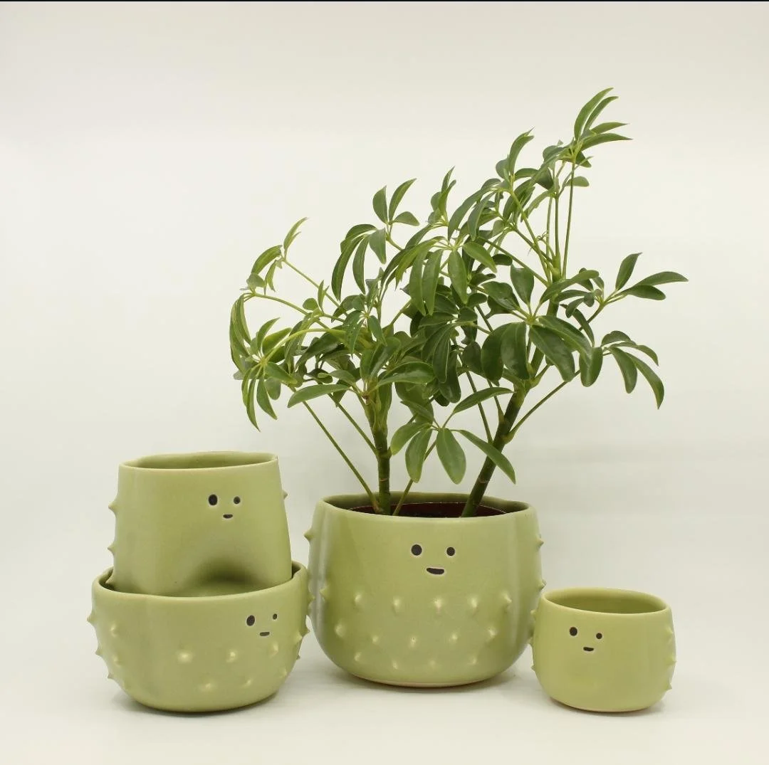 Plantes vertes dans des pots en céramique vert clair avec des visages mignons, certains pots ont des textures de bosses, affichant un design amusant et inattendu.
