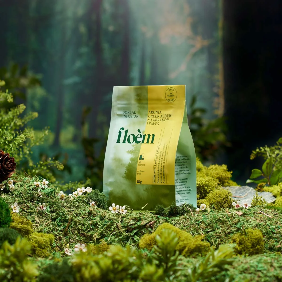 Sachet de thé Floem dans un environnement de forêt avec mousse, fleurs et plantes, évoquant la nature et la forêt boréale.
