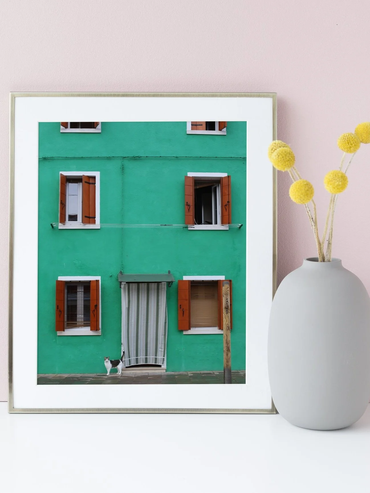 Photo d'un bâtiment vert avec fenêtres à volets en bois, un chat noir et blanc au rez-de-chaussée, et un drapeau ou un tissu blanc rayé dans une fenêtre. Il y a aussi une plante à fleurs jaunes dans un vase blanc à côté de la photo.