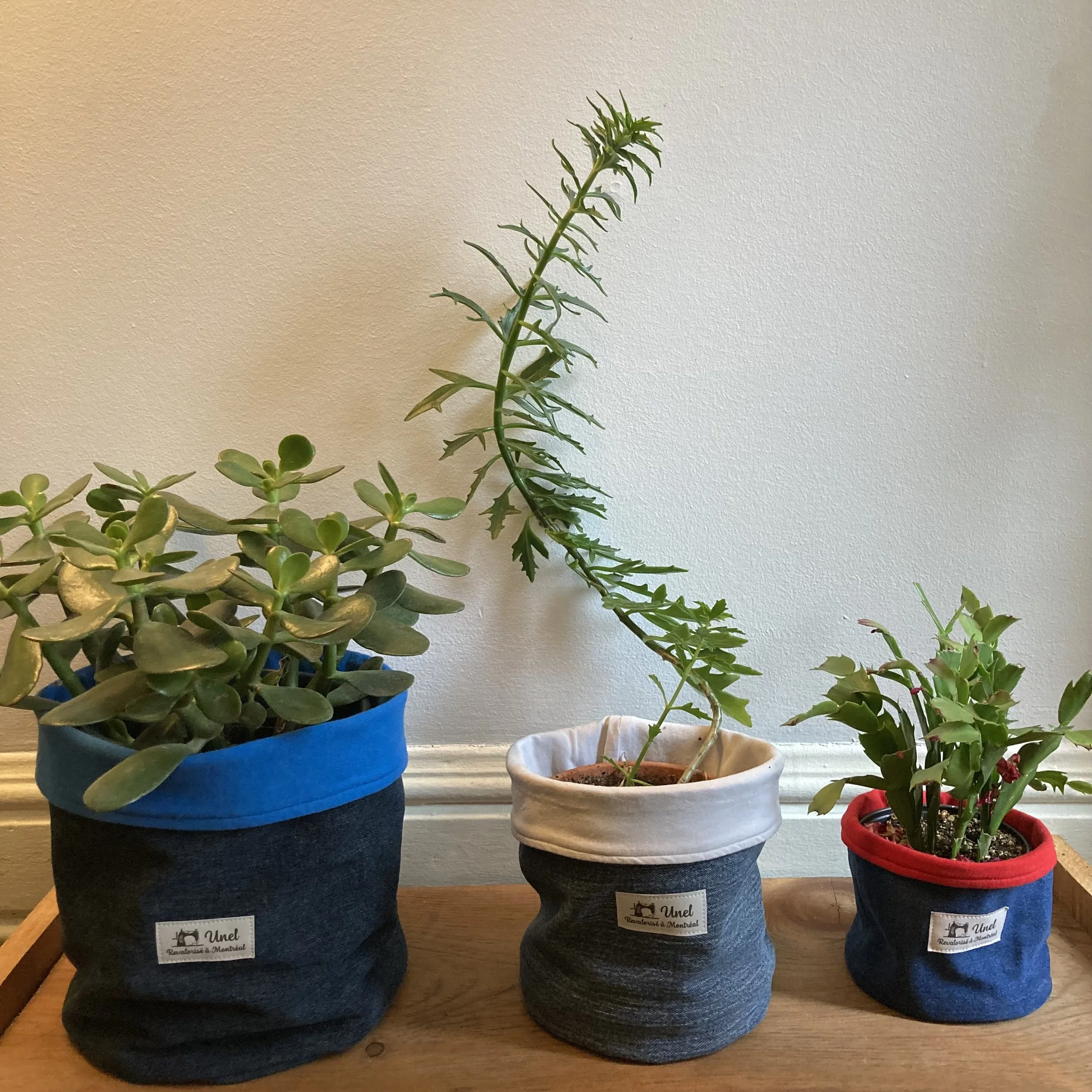 Quatre pots de fleurs en tissu contenant différentes plantes vertes, placés sur une étagère en bois.