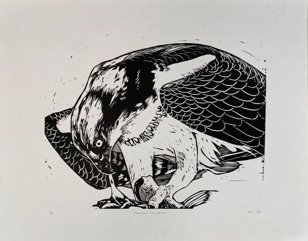 Une illustration en noir et blanc d'un aigle perçant un poisson avec son bec.
