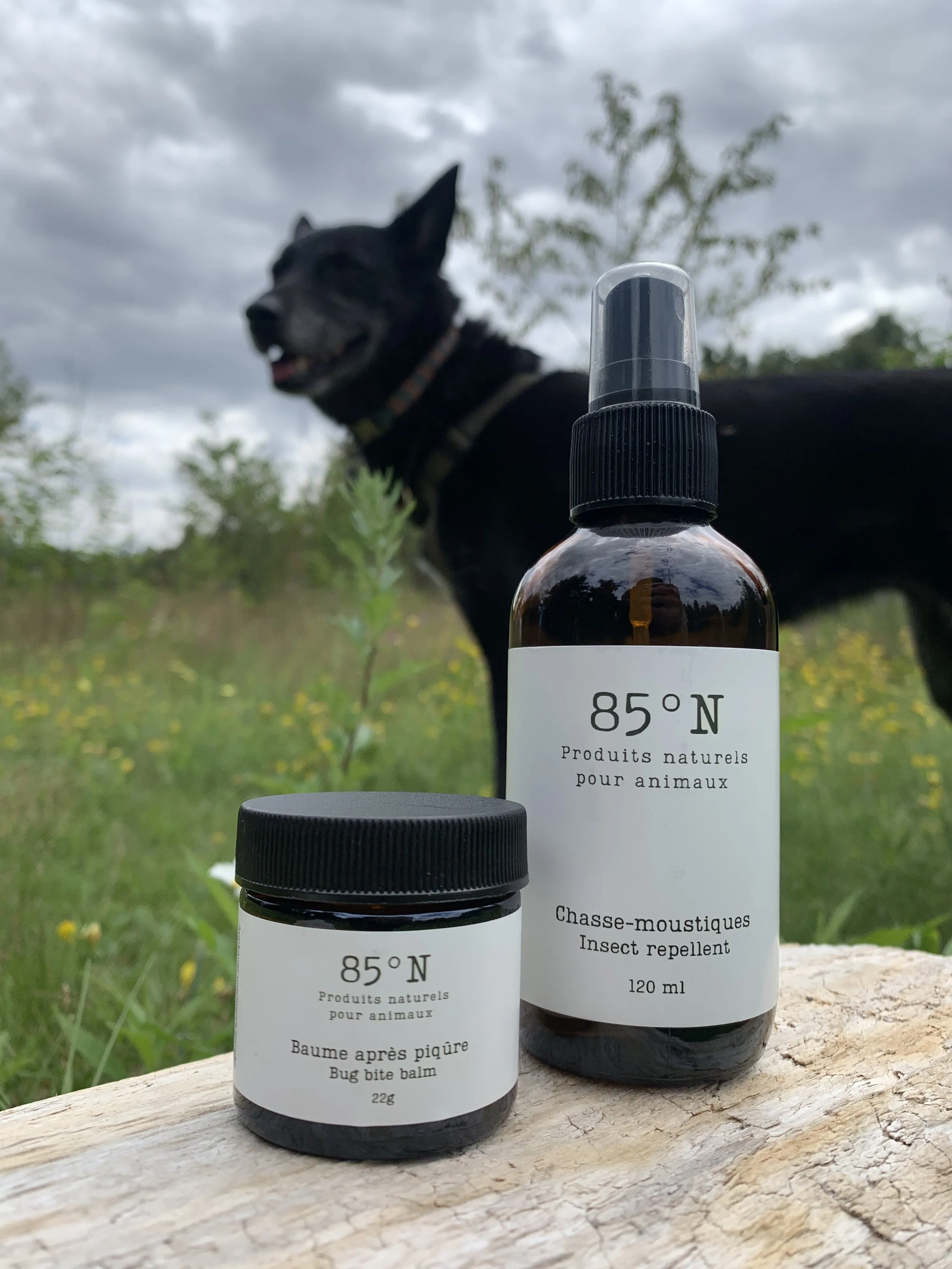 Deux bouteilles en verre avec des étiquettes en français posées sur une surface en bois, en plein air sous un ciel nuageux, entouré de végétation. La bouteille à droite indique 'Insect repellent' et 'Chasse-moustiques', la plus petite 'Bug bite balm', et la grande 'Produits naturels pour animaux'.