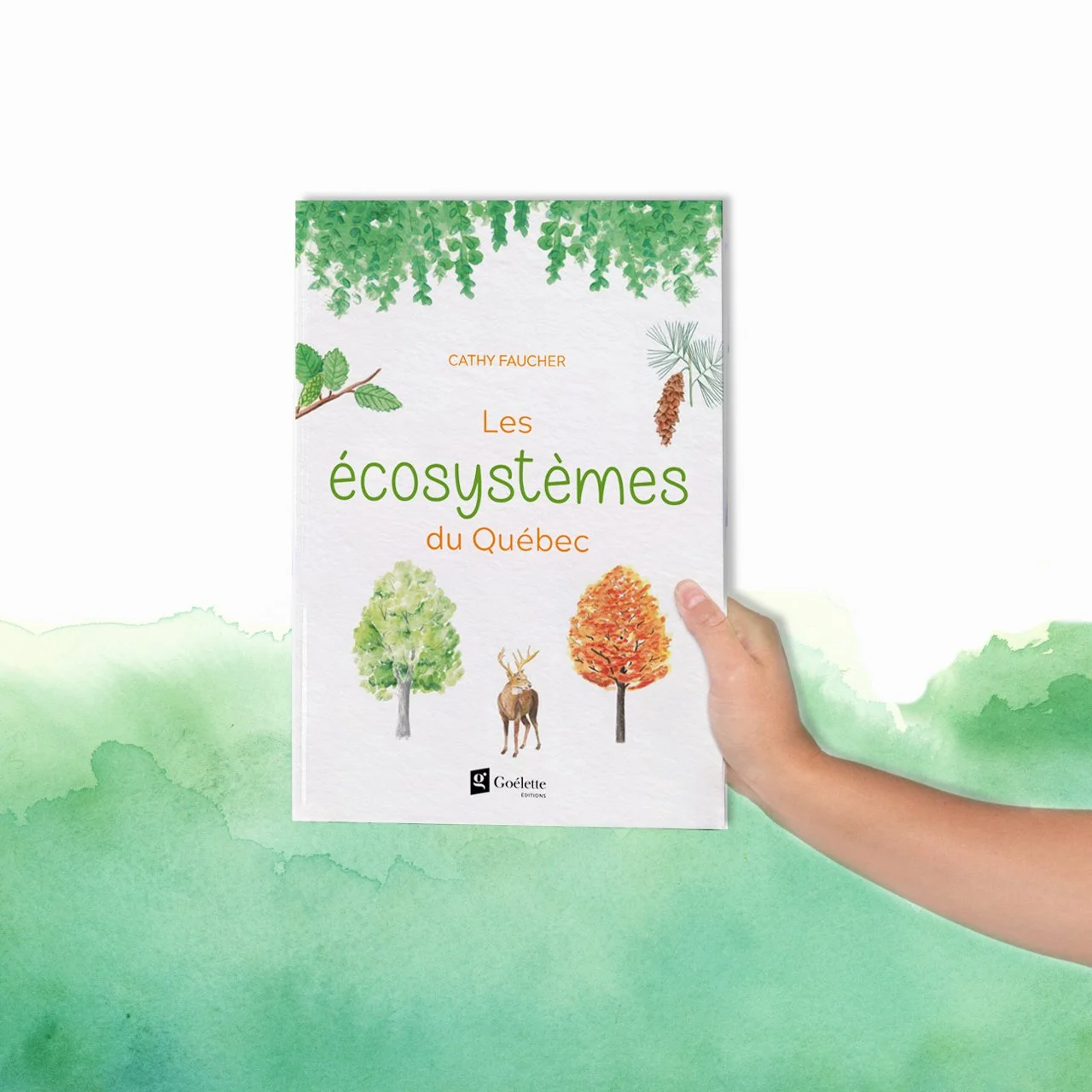 Une main tient un livre intitulé "Les écosystèmes du Québec" avec des illustrations d'arbres, d'un cerf, et de différentes plantes sur la couverture, sur un fond vert et blanc.