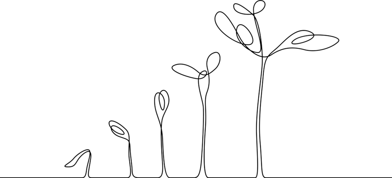 A digital line drawing of a plant with several growing stages, from a small sprout to a tall plant with several branches and leaves.