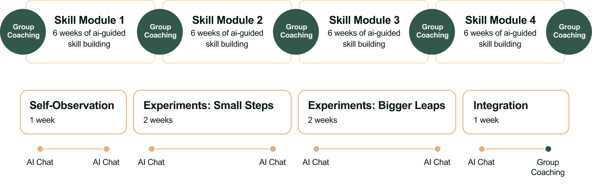 Flowchart outlining a four-module skill-building program with group coaching and AI chat sessions, including weekly phases of self-observation, experiments, and integration.